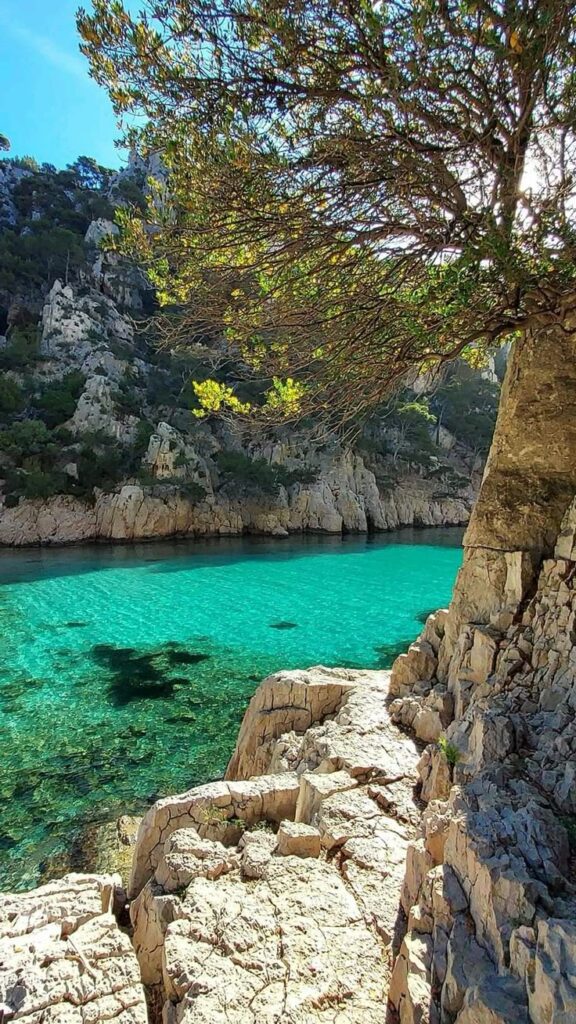 vtc marseille baignade meilleurs endroit circuit inclus touristique soleil